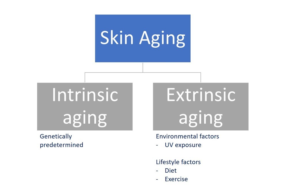 Types of aging