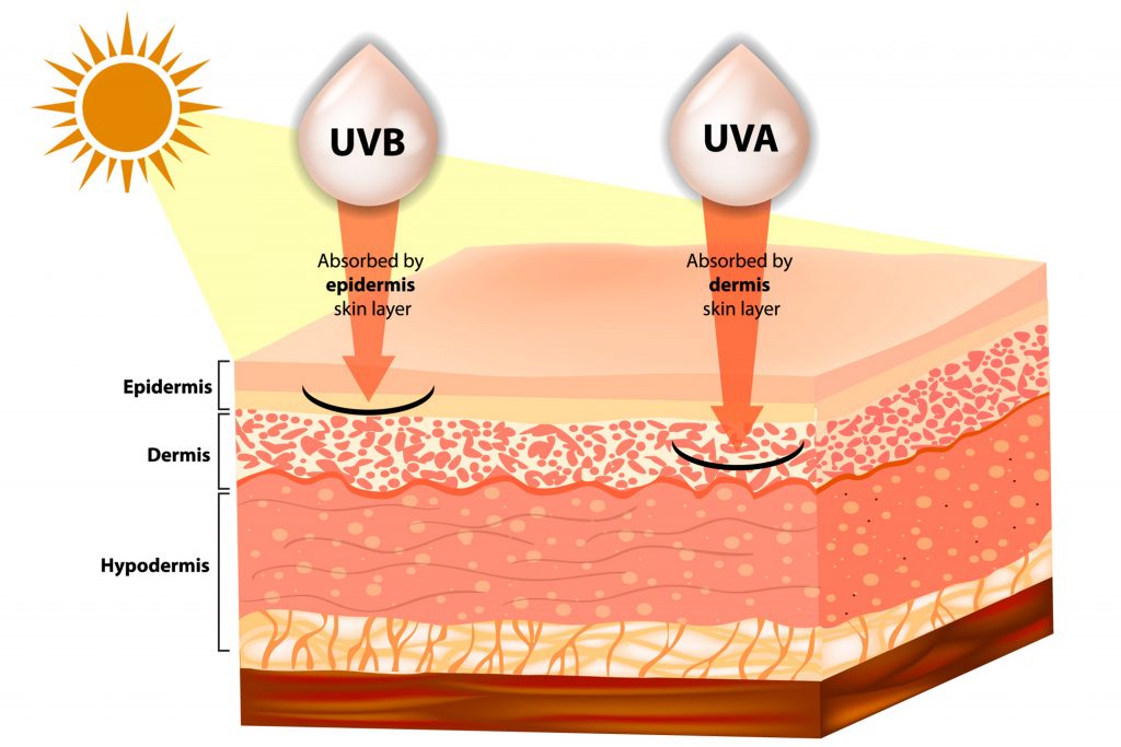UVA UVB sun protection