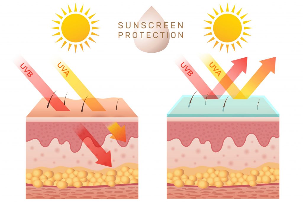 UVA and UVB Protection